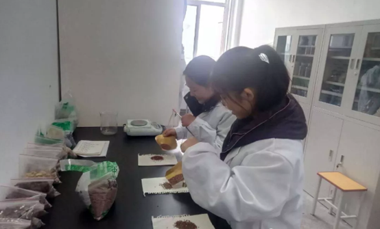 ccd16c80-316b-11ea-93d5-5988183e908e