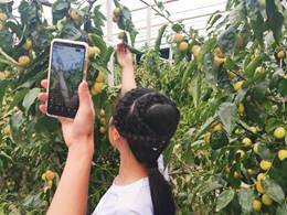 c2ad8a5663780182ef43df84470926c