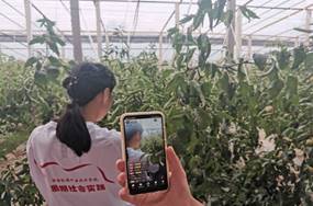 b650c3fcb07a7be42a83766198f69fe