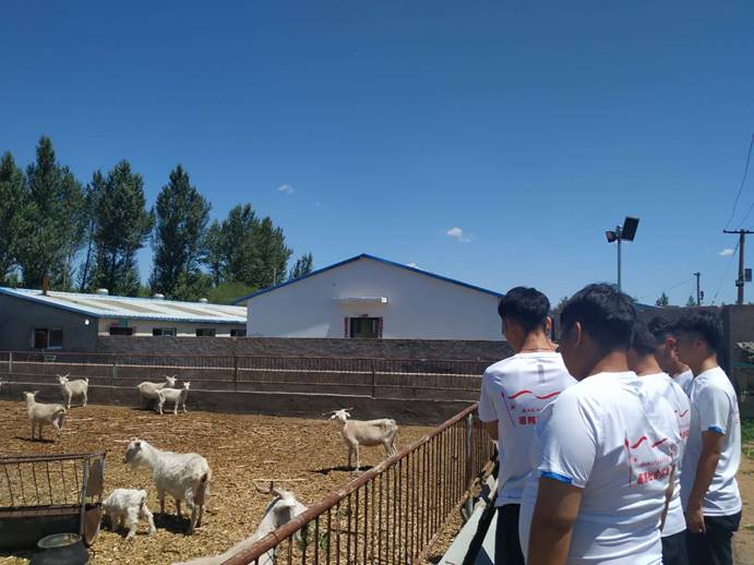 a3db694d1d461f18fa4479be2c6da1b