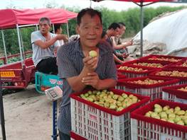 d13aaeeb5e5acd16350f332383d3ca0